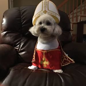 Meet your Posher, Diane